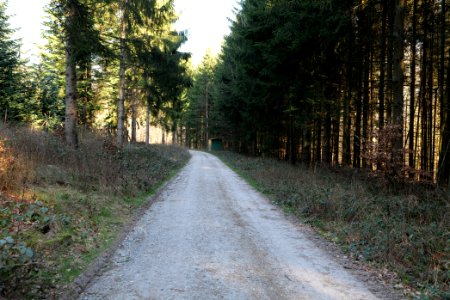 Jagdhausweg Kronberg 2020-03-25 01