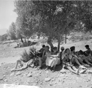 Jamboree 1963 te Marathon Griekenland, Bestanddeelnr 915-4455