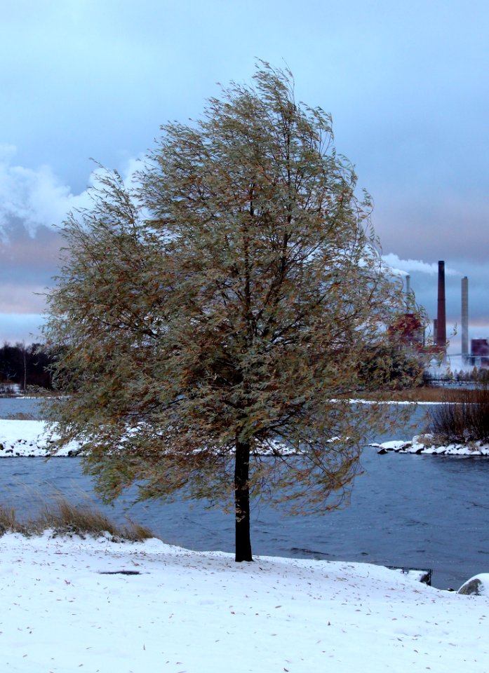 Kiikeli Oulu 20131019