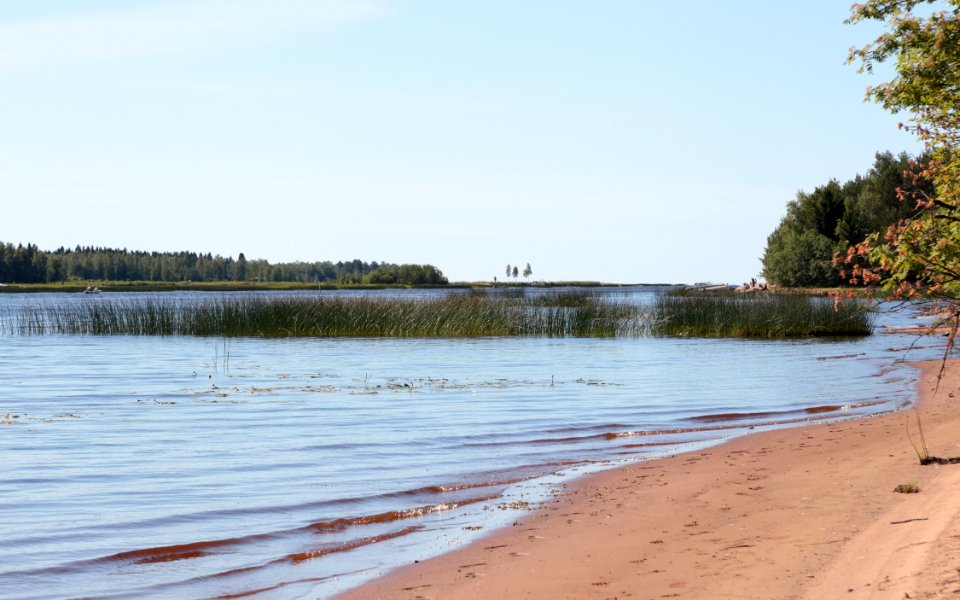 Kiiminkijoki Oulu 20200627 02