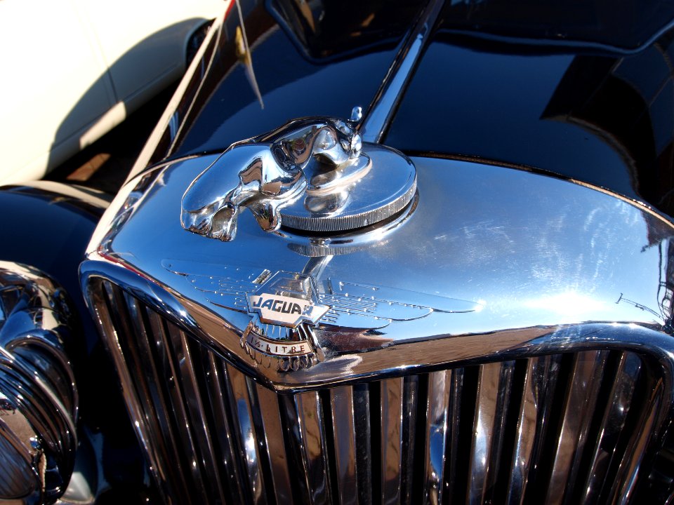 Jaguar 2 axle risedbody saloon (1948), Dutch licence registration AL-51-84 pic4