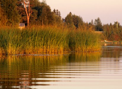 Kiiminkijoki Oulu 20150825