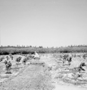 Kibboets Nir Elyahu Kibboetsbewoner bewerkt de grond met behulp van een tractor, Bestanddeelnr 255-3730