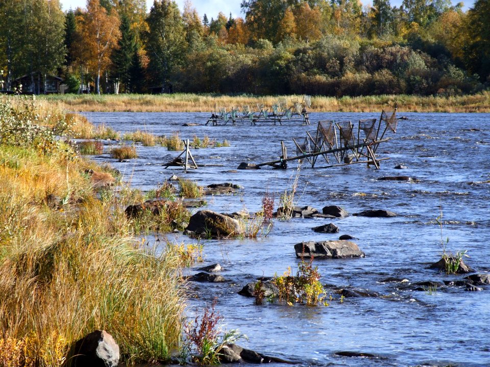 Kiiminkijoki Haukipudas 20070923 02