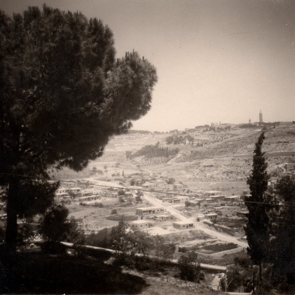 Kidrontal und Ölberg 1960