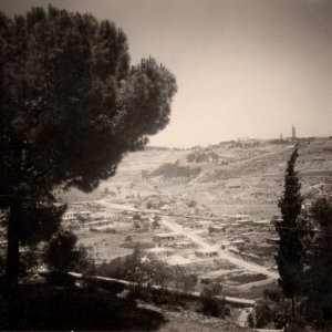 Kidrontal und Ölberg 1960