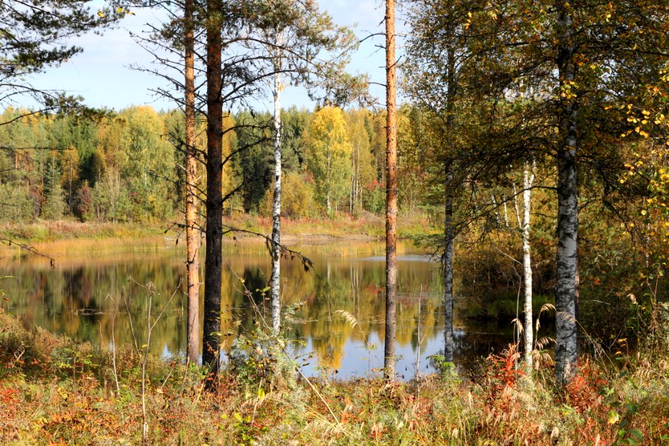 Kiiminkijoki Ylikiiminki Oulu 20130915 01