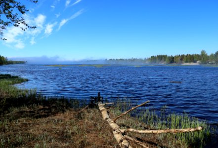 Kiiminkijoki Oulu 20170611 02