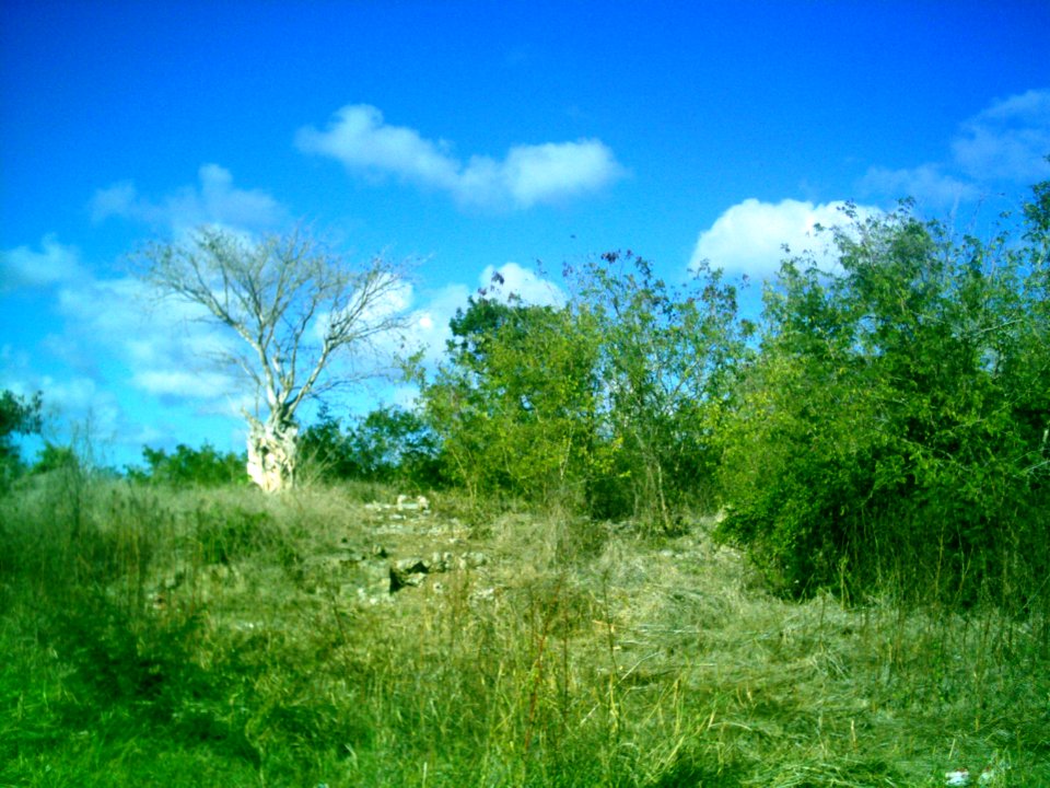 Kikteil, Yucatán (01)