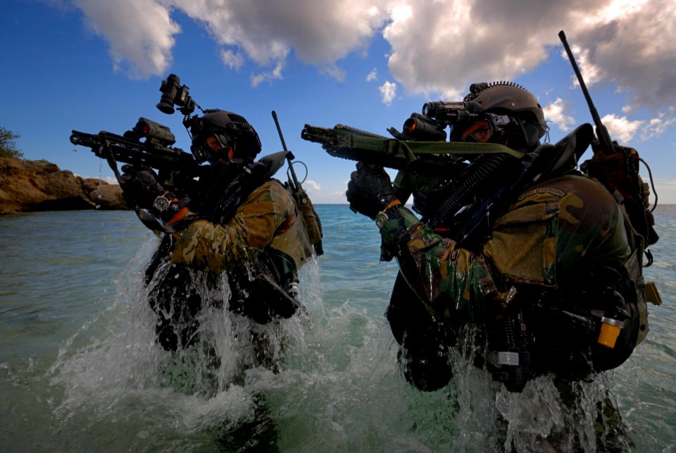 Kikvorsman mariniers-2