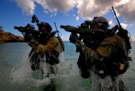 Kikvorsman mariniers-2