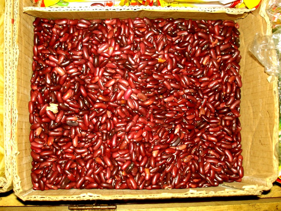 Kidney beans (Phaseolus vulgaris) marketed Baubau