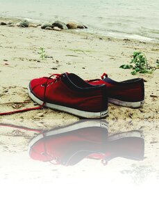 Sea shoes the stones