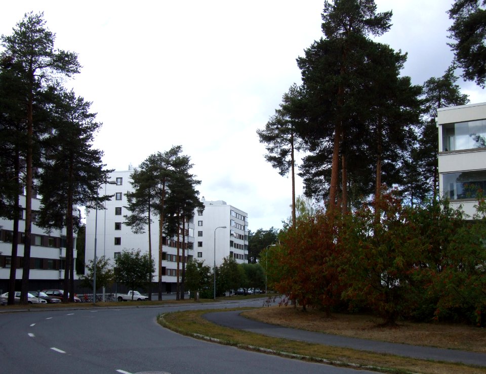 Kihokkitie Oulu 20060902