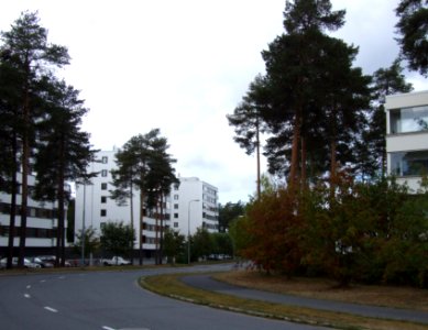 Kihokkitie Oulu 20060902