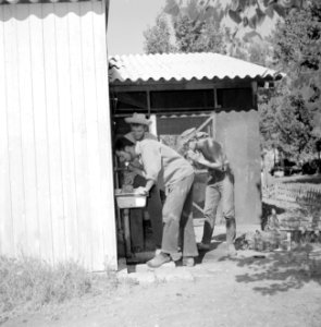 Kibboets Nir Elyahu Jongemannen bezig bij een waterkraan met wasbak, Bestanddeelnr 255-3701