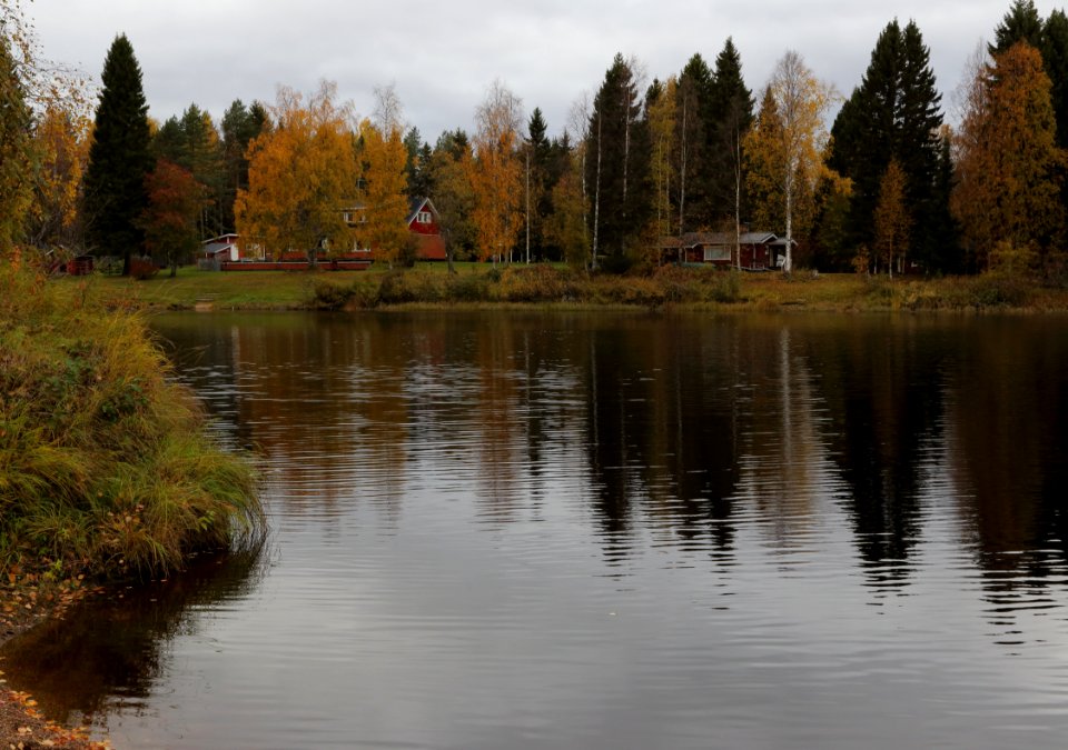 Kiiminkijoki Oulu 20181006 01