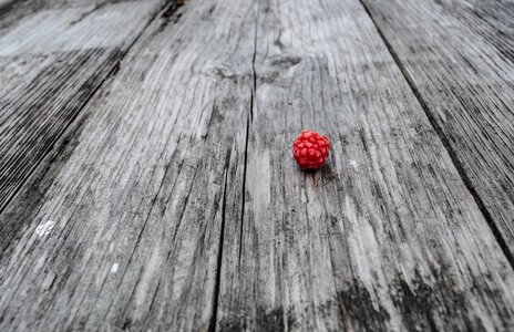 Black and white fruit small