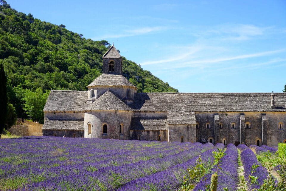 Abbey notre dame de sénanque the order of cistercians photo