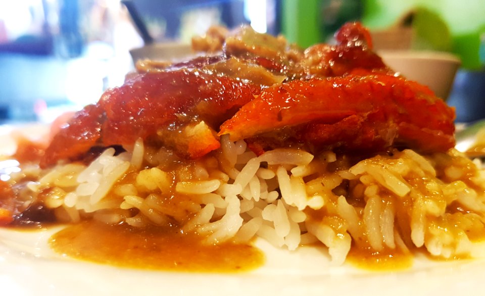 Khao na pet (duck rice), Pathum Thani, 2017-12-15 (2)