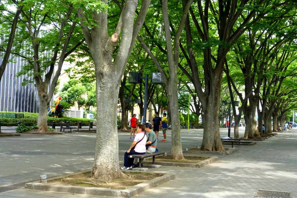 Keyaki Hiroba - Setagya, Tokyo, Japan - DSC09659