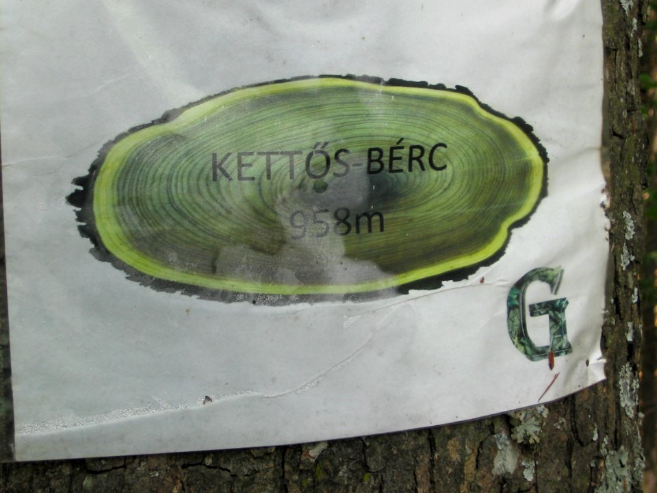Kettős-bérc