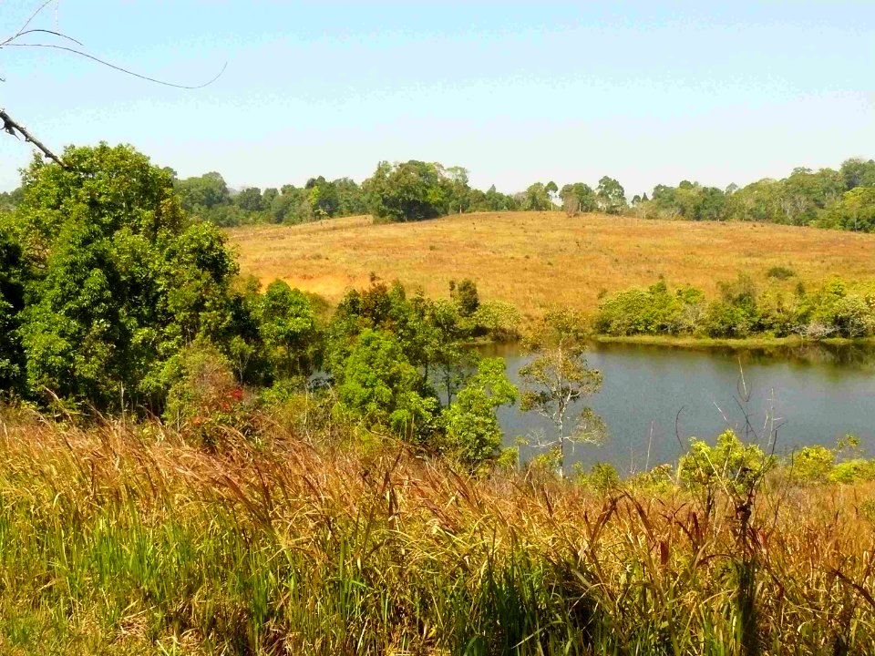 Khao Yai National Park Landscape
