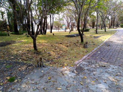 Khao Hin Lek Fai 4