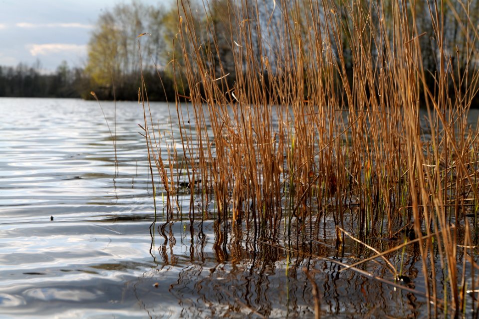 Kiessee Maust 2021-04-24 13