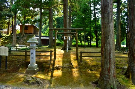 Keta-jinja (Takaoka), Etchu-soja