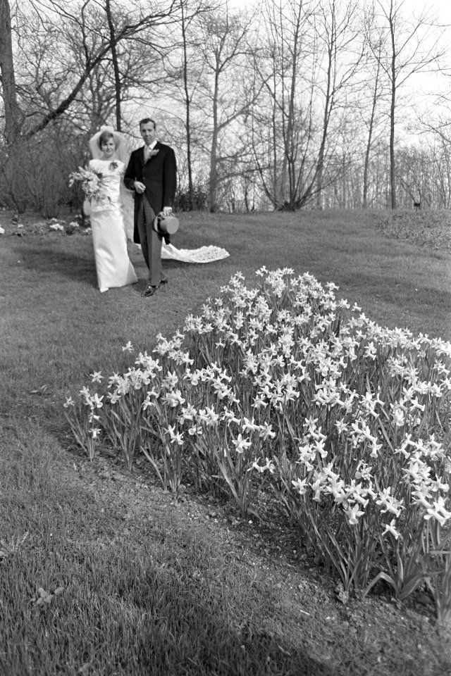 Keukenhof 1967 open, als eerste bezoekers kwam een bruidspaar, Bestanddeelnr 920-1749