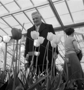 Keukenhof bezoek kamerleden Jan Schouten, Bestanddeelnr 904-5331