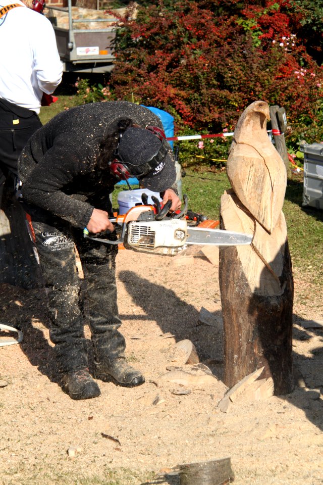 Kettensägekunst (2)