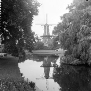Kinderbloemencorso in Leiden Zicht op molen de Valk vanaf de Rijsburgersingel, Bestanddeelnr 909-7562