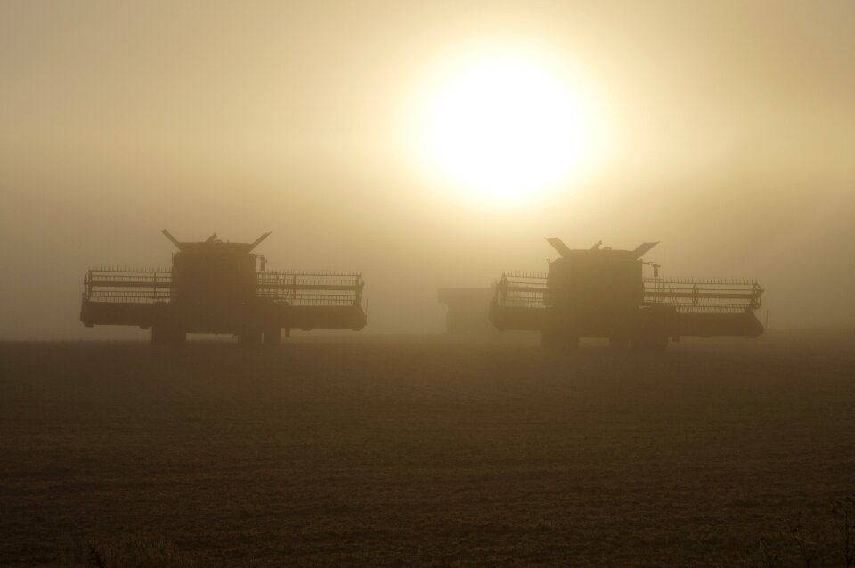 Harvesting agricultural grain