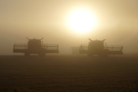 Harvesting agricultural grain photo