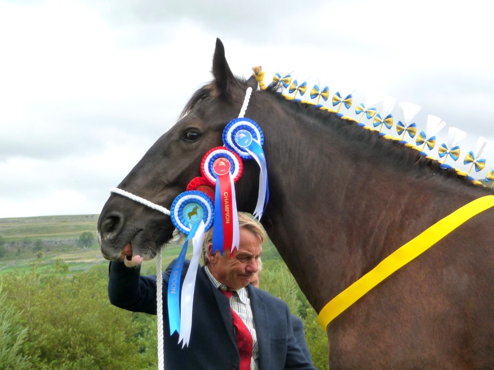 Kilnsey Show 09