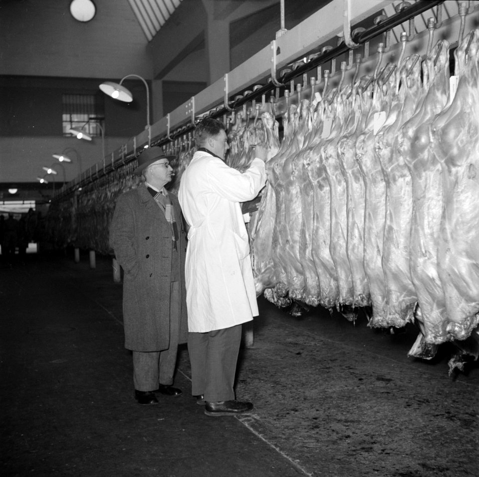 Keuring van het vlees aan de slachtlijn van de vleeshallen in het deel waar vark, Bestanddeelnr 252-9058
