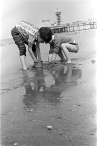 Kinderen op het strand bij Scheveningen, Bestanddeelnr 916-3557