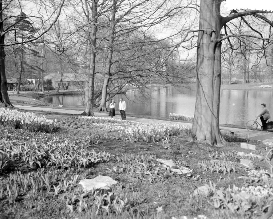 Keukenhof geopend (niet officieel), Bestanddeelnr 908-4322