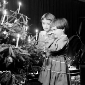Kinderen rond de kerstboom, Bestanddeelnr 934-5759
