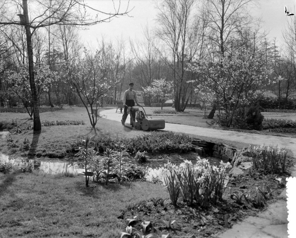 Keukenhof geopend (niet officieel), Bestanddeelnr 908-4324