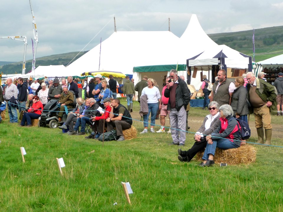 Kilnsey Show 15