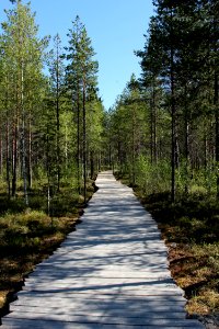 Kierikki Oulu 20130526
