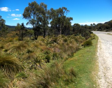 King William Saddle 20171121-020
