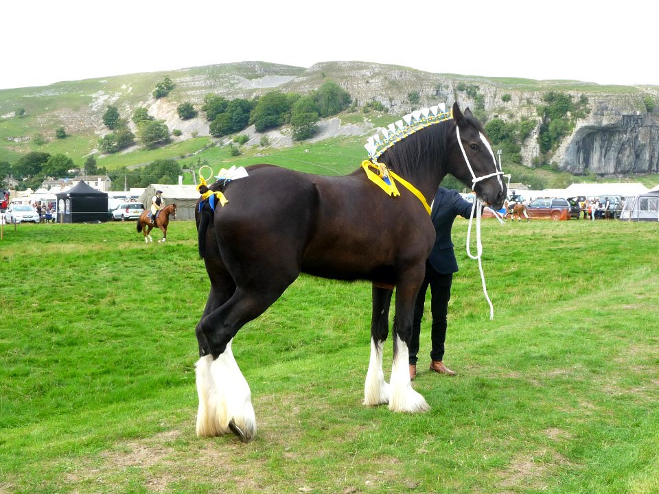 Kilnsey Show 08