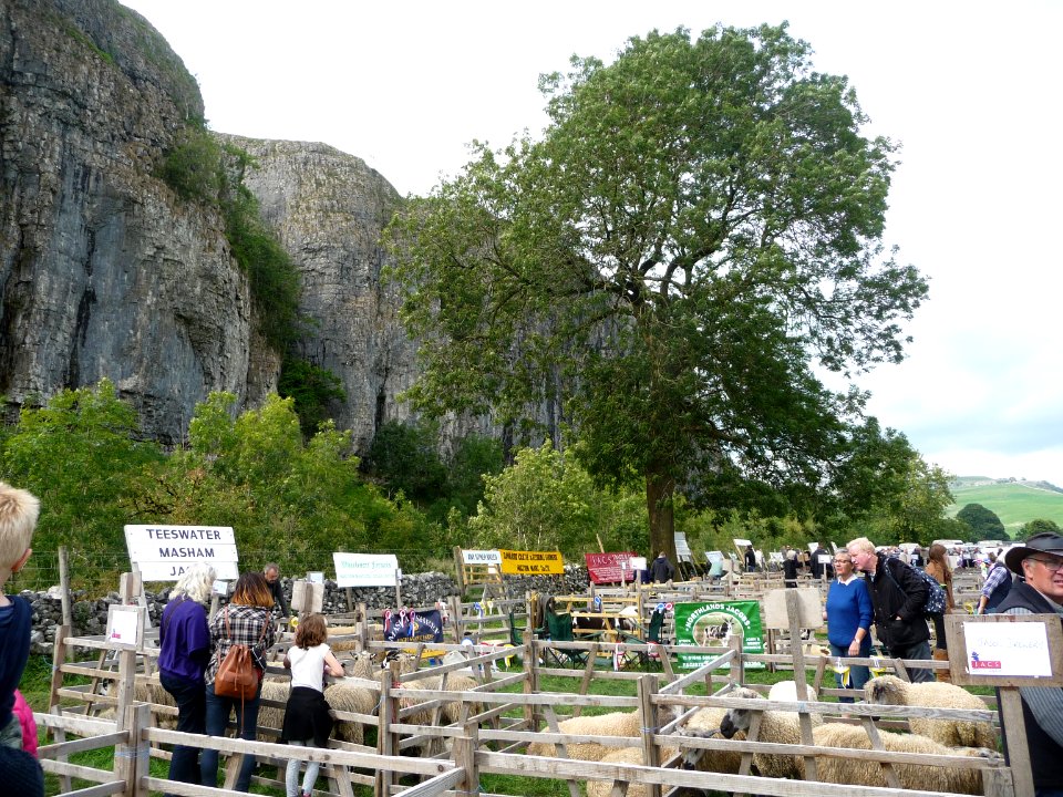 Kilnsey Show 18