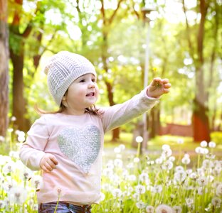 Nature spring grass photo