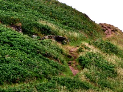 KingsQuoitH2aFB