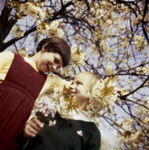 Kinderen, boomgaarden, Bestanddeelnr 254-7173